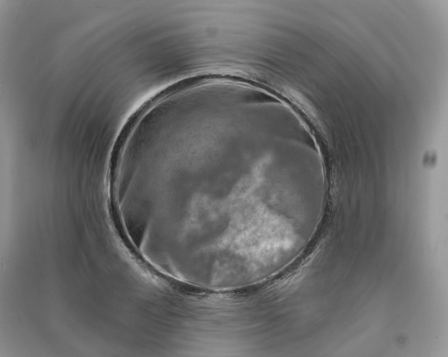 X0000090931028200708131449