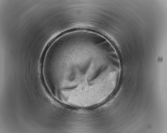 X0000090931029200708131449