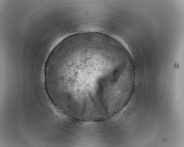 X0000090931031200708131449