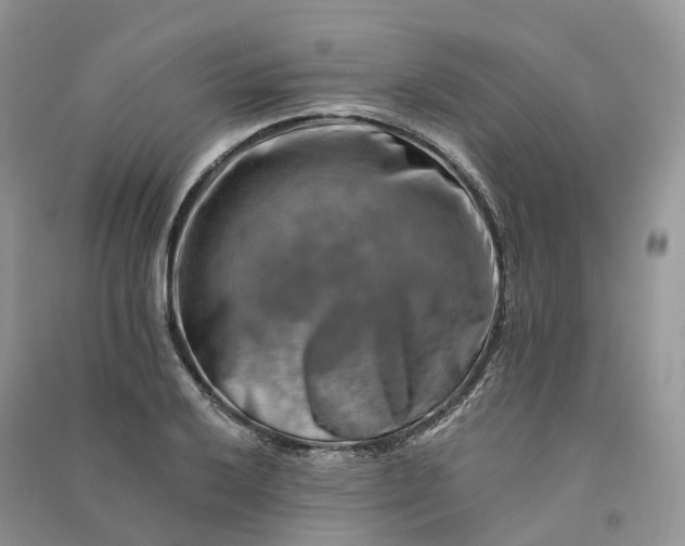 X0000090931032200708131449