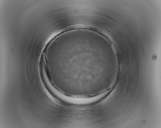 X0000090931034200708131449