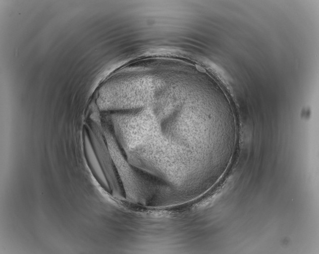 X0000090931041200708131449