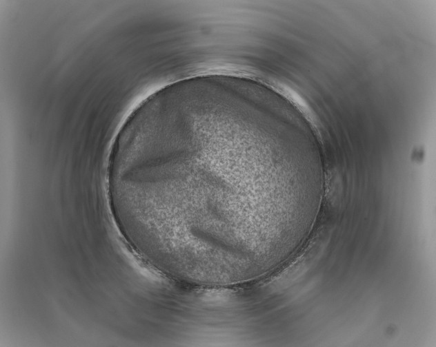 X0000090931043200708131449