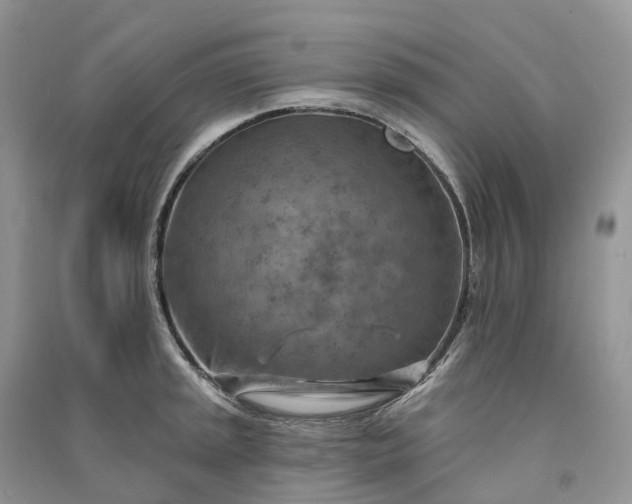 X0000090931045200708131449