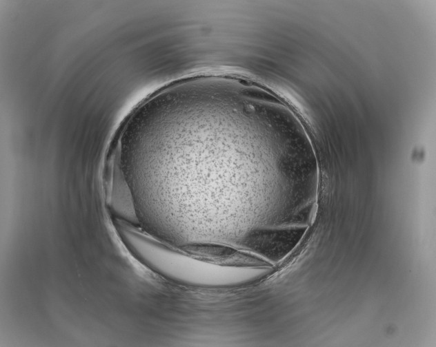 X0000090931046200708131449