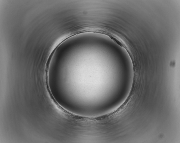 X0000090931050200708131449