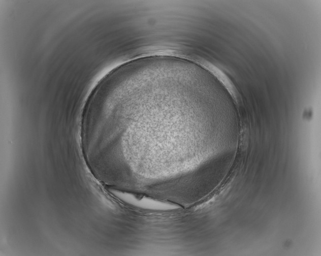 X0000090931051200708131449