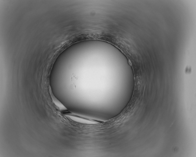 X0000090931057200708131449