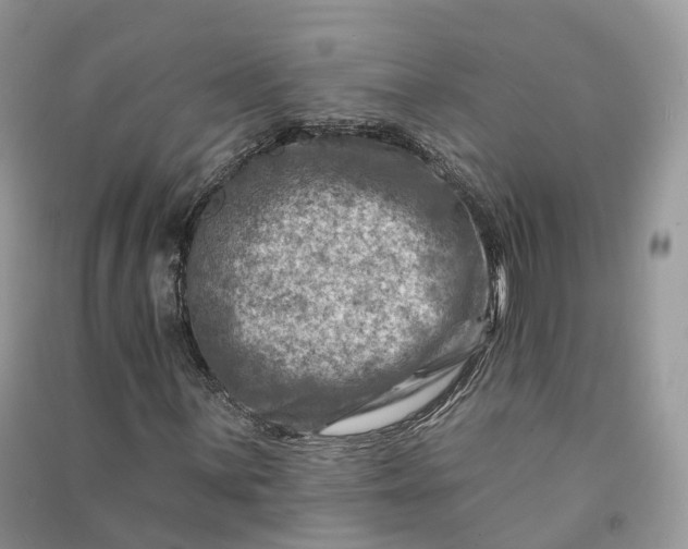 X0000090931059200708131449