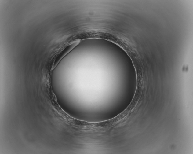 X0000090931061200708131449