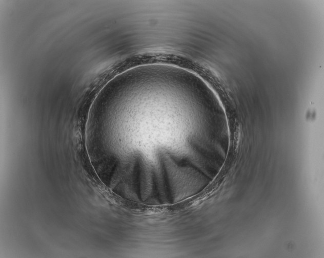 X0000090931062200708131449