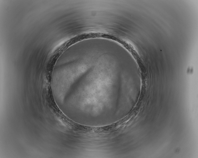 X0000090931064200708131449