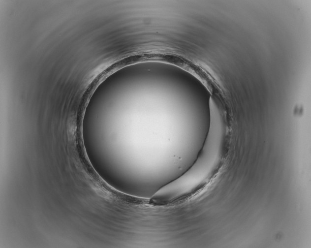 X0000090931065200708131449