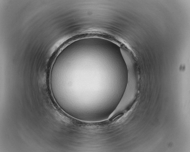 X0000090931066200708131449