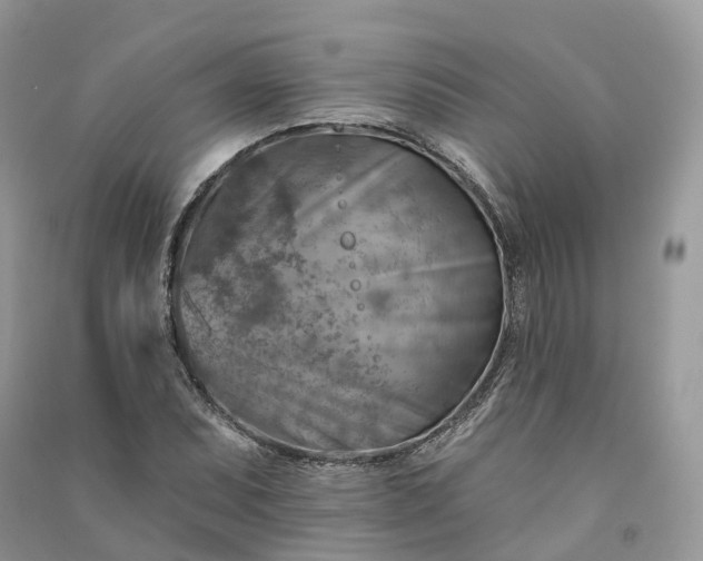 X0000090931071200708131448