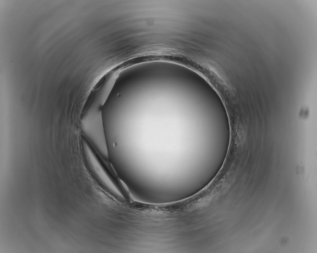 X0000090931073200708131448