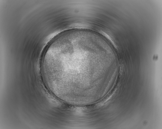 X0000090931074200708131448