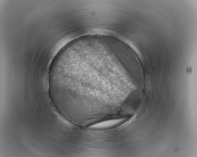 X0000090931075200708131448