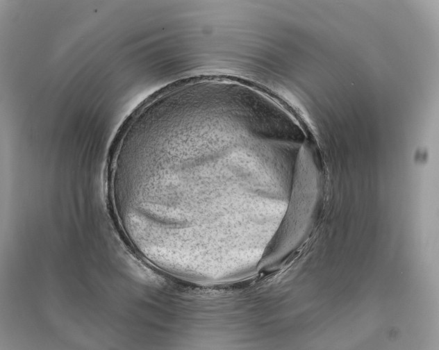 X0000090931076200708131448