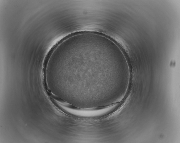 X0000090931077200708131448