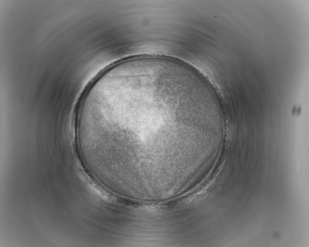 X0000090931078200708131448