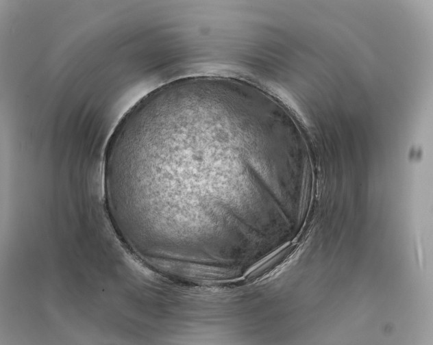 X0000090931079200708131448