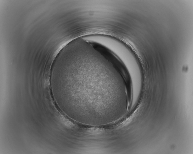 X0000090931081200708131448