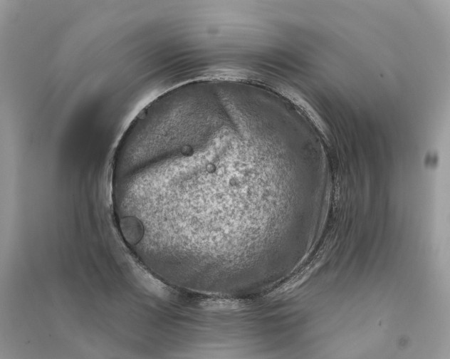 X0000090931083200708131448