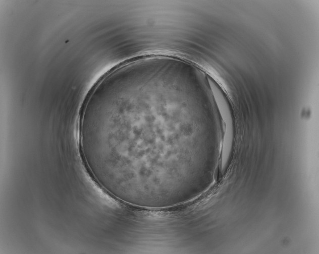 X0000090931084200708131448