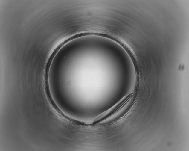 X0000090931085200708131448