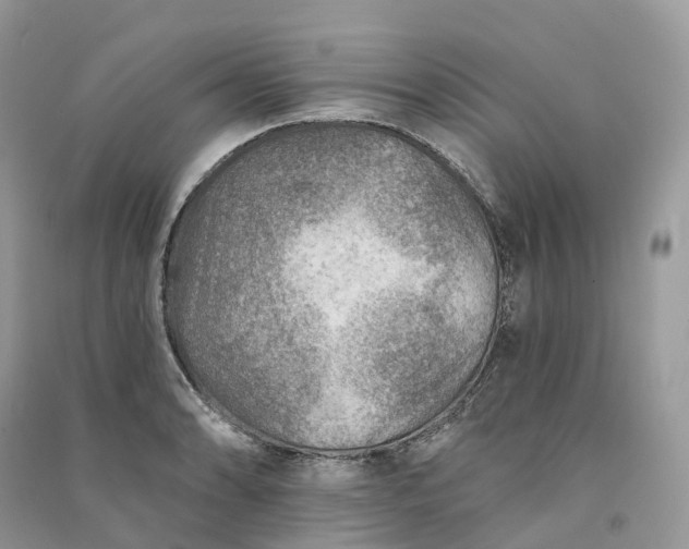 X0000090931086200708131448