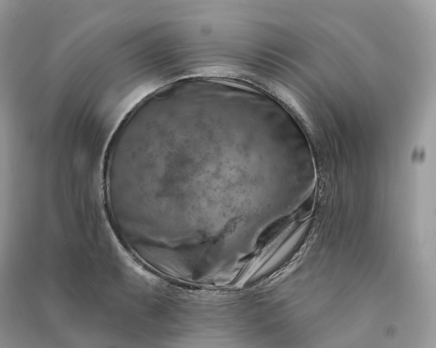 X0000090931087200708131448