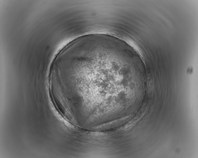 X0000090931088200708131448