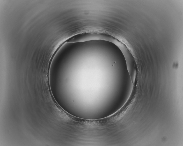 X0000090931089200708131448