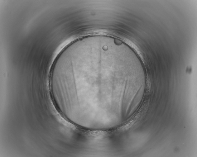 X0000090931090200708131448