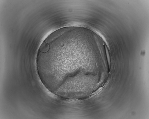 X0000090931091200708131448