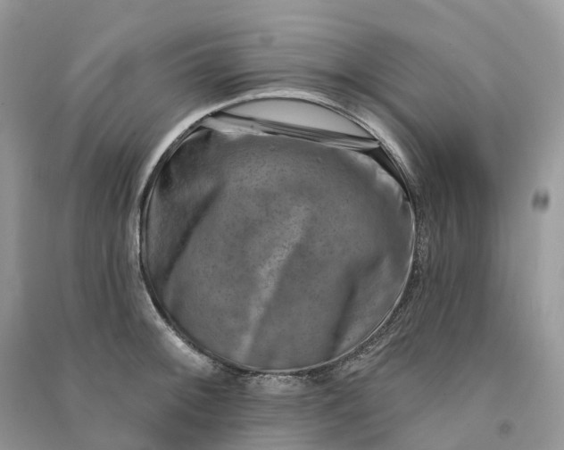 X0000090931092200708131448