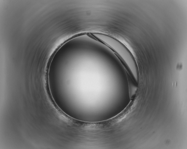 X0000090931093200708131448