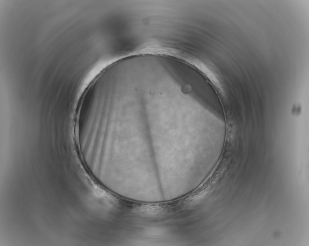 X0000090931094200708131448