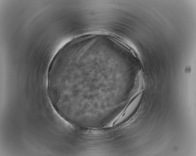 X0000090931095200708131448