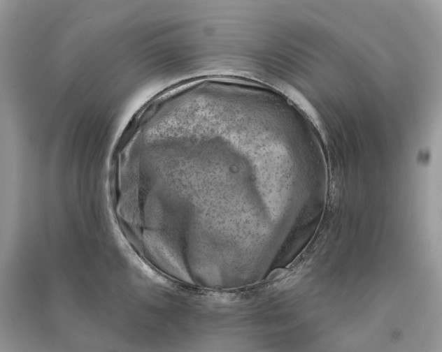 X0000090931096200708131448