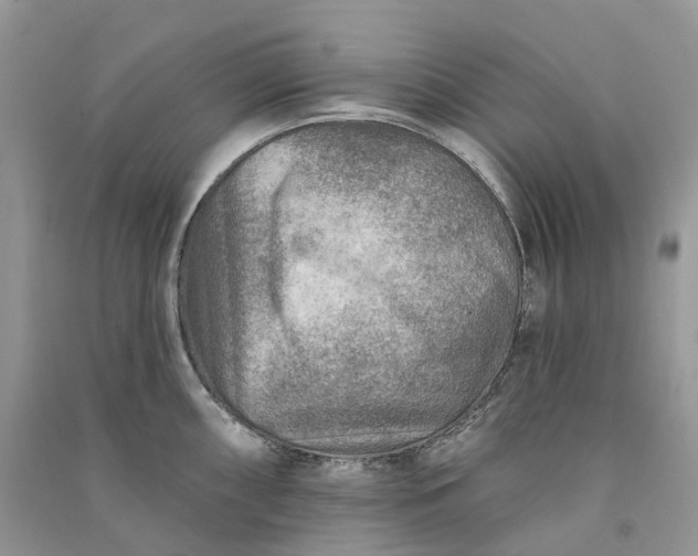 X0000090931098200708131448