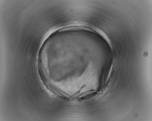 X0000090931099200708131448