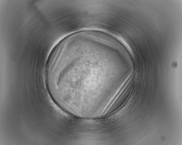 X0000090931100200708131448