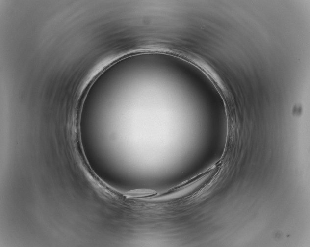 X0000090931101200708131448