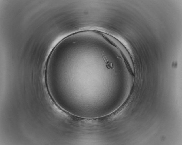 X0000090931102200708131448