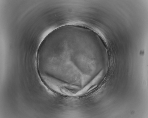 X0000090931103200708131448