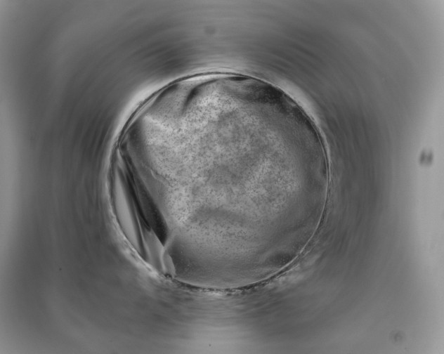 X0000090931104200708131448