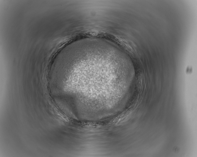 X0000090931105200708131447