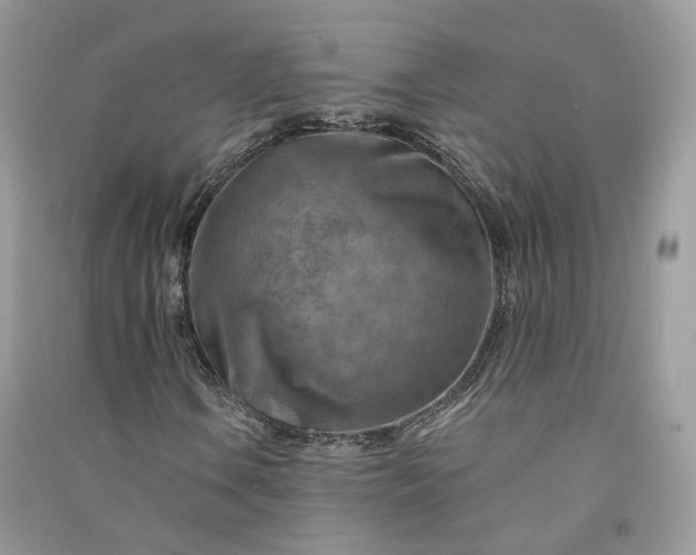 X0000090931106200708131448